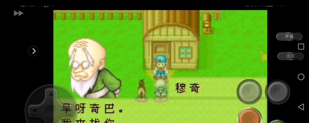 《牧场物语太阳伙伴》游戏马克恋爱攻略（从零开始追求心仪对象）