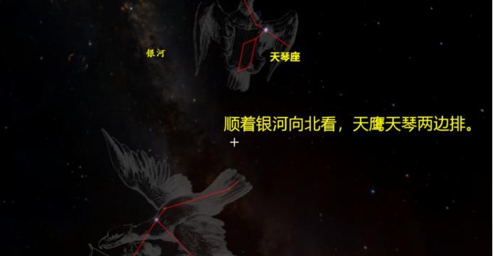老农种树星座全览（探索老农种树星座的位置及秘密）