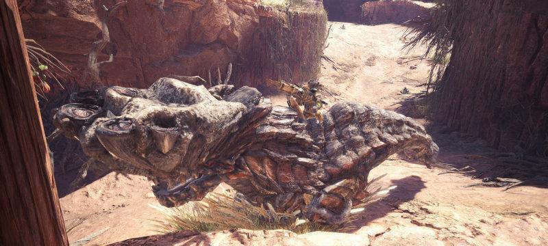 《怪物猎人世界》中的大蚁冢荒地捕捉生物指南（详细介绍荒地中各种生物的特点和捕获技巧）