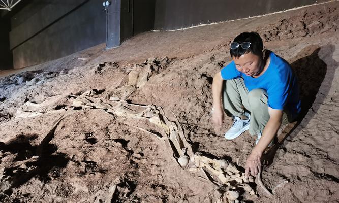 《妄想山海》游戏中肋部化石快速获取方法大揭秘（探索技巧助你轻松收集肋部化石）