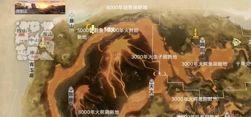 探秘神秘的妄想山海龙骨草（揭开龙骨草的真面目）