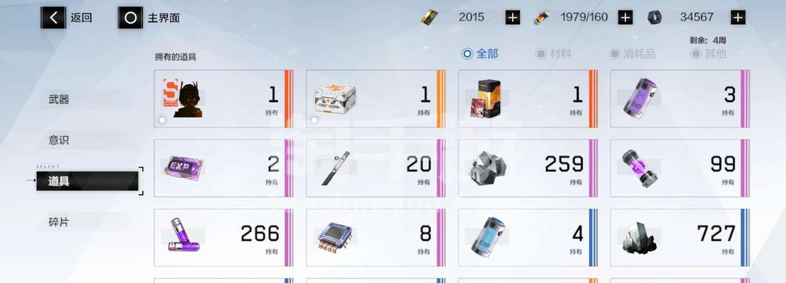 战双帕弥什露娜战力大揭秘（掌握关键技巧）