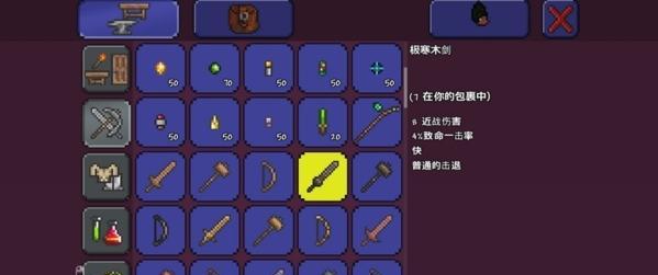 泰拉瑞亚手机版道具详解（探索神秘世界）