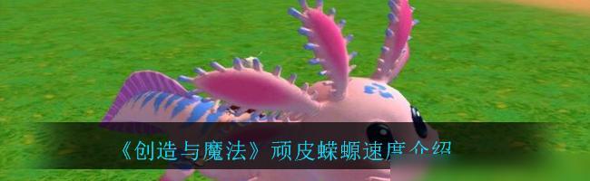创造与魔法顽皮蝾螈饲料是什么？蝾螈饲料配方有哪些？