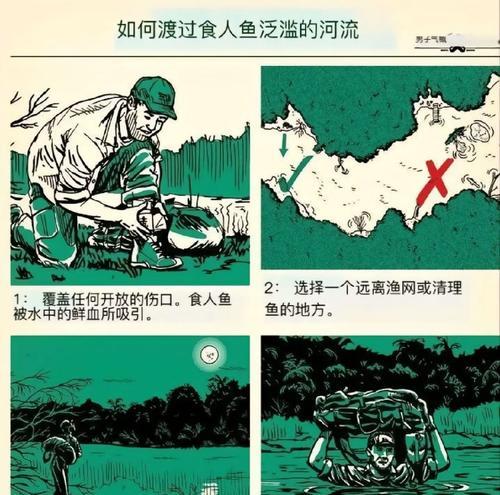 穿越远古生存秘籍肉食篇包含哪些内容？如何应用这些生存技巧？