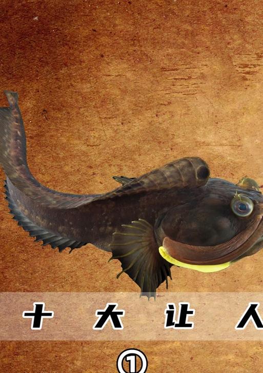 《章鱼哔的原罪》的故事背景是什么？为何被称为最“Happy”的故事？