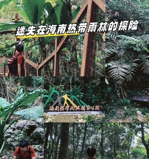 热带雨林探险之旅如何攻略？游戏的乐趣有哪些？