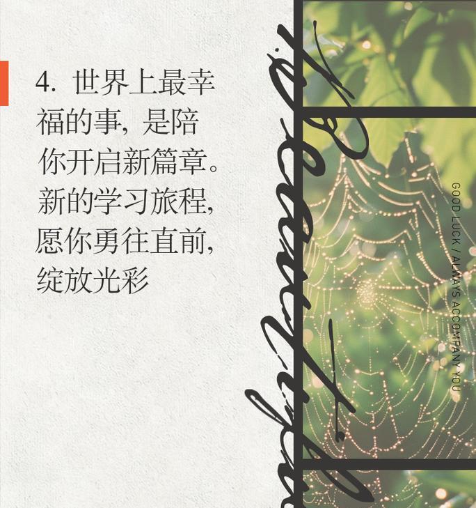 拼图高高手如何挑战脑力极限？下载拼图高高手有哪些智慧之旅？
