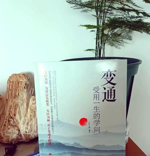 拼图高高手如何挑战脑力极限？下载拼图高高手有哪些智慧之旅？