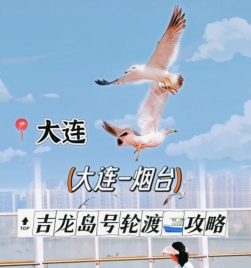 合并萌龙岛好玩吗？合并萌龙岛的玩法简介是什么？