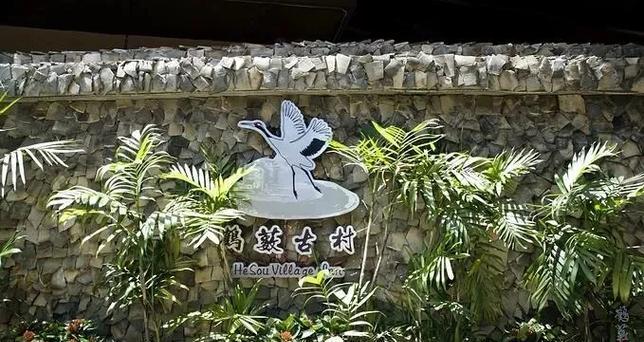 鹤观石板如何集齐？集齐后的神秘之旅是什么样的？
