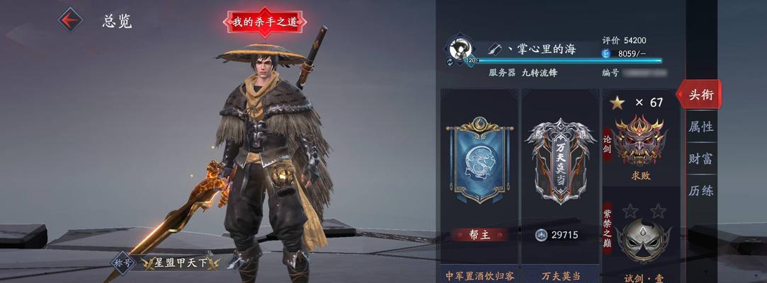 《流星群侠传》新手如何选择武器？武器搭配有哪些技巧？