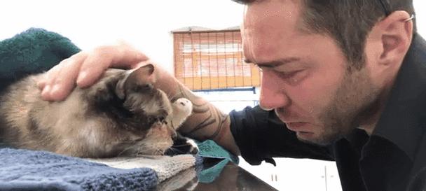 我的世界小猫睡觉有什么影响？如何正确处理？