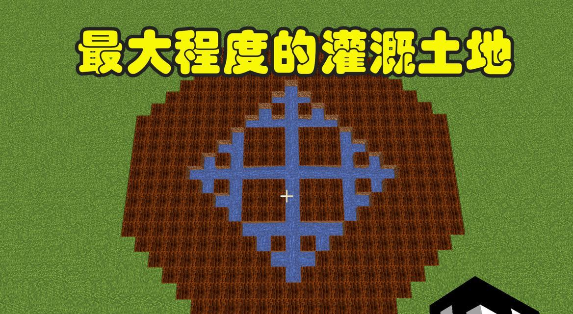 我的世界中麦子种植的步骤是什么？