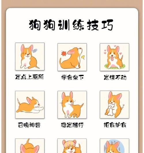 迷你世界怎么训练狗？训练方法有哪些？