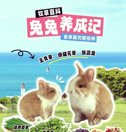 迷你世界中野兔子如何喂养？需要什么食物？