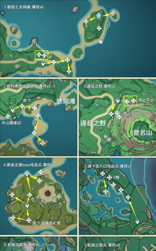 在原神中哪里采摘薄荷最有效率？