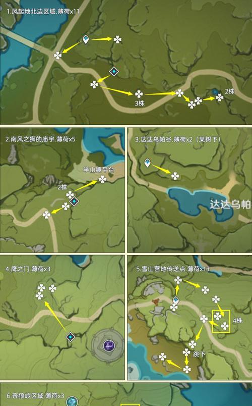 在原神中哪里采摘薄荷最有效率？