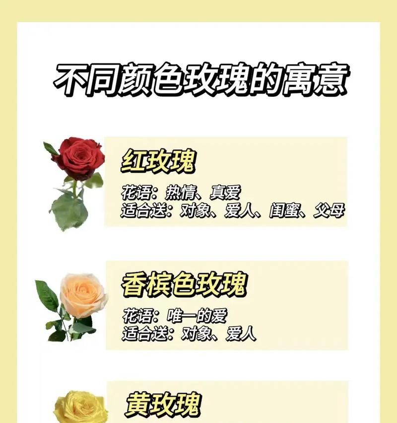 小玫瑰亲密值如何计算？一朵小玫瑰代表多少亲密？