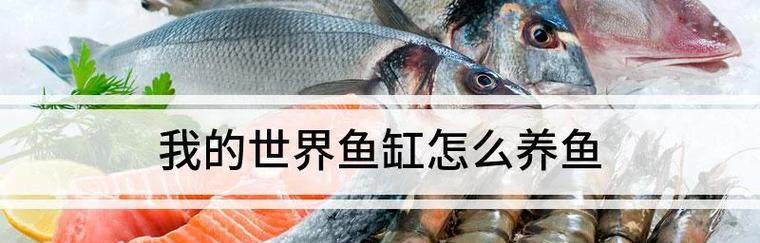 我的世界中养鱼的方法有哪些？