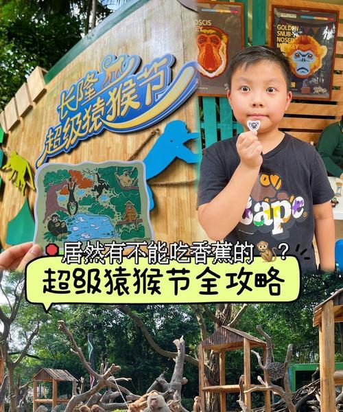 魔兽世界香蕉猿猴的获取方法是什么？需要哪些条件？